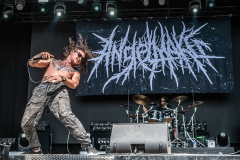 Angelmaker