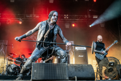 Primordial