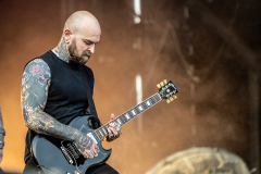 Primordial