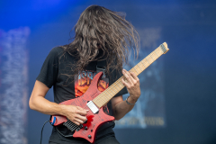 Sublime Cadaveric Decomposition