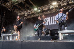 Spleen