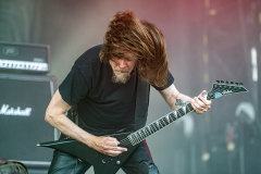 Unleashed